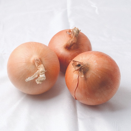 Onion Saffron Onion Saffron