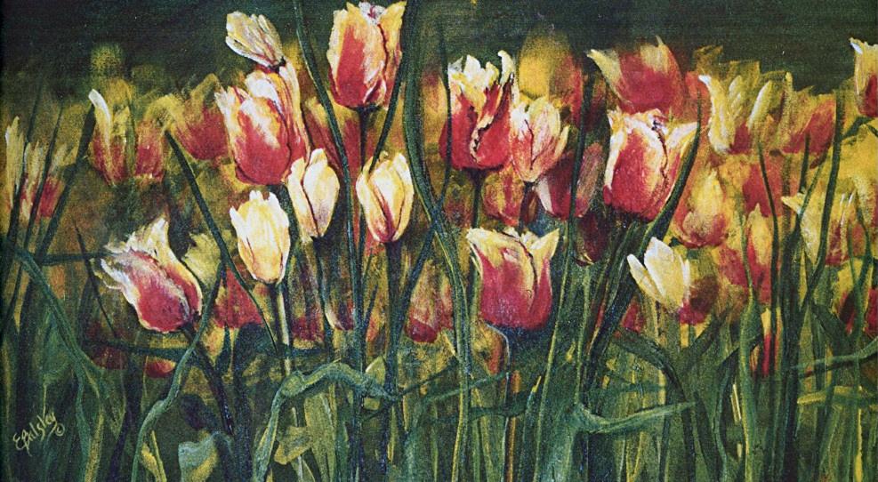 Tulips II, Acrylic 18x30 on Gallery Canvas   SOLD