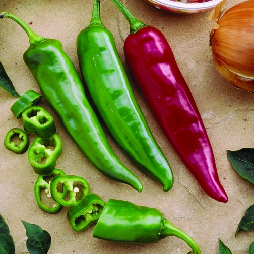 Pepper Garden Salsa Pepper Garden Salsa