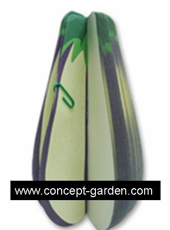 CG2012008 Eggplant Memo