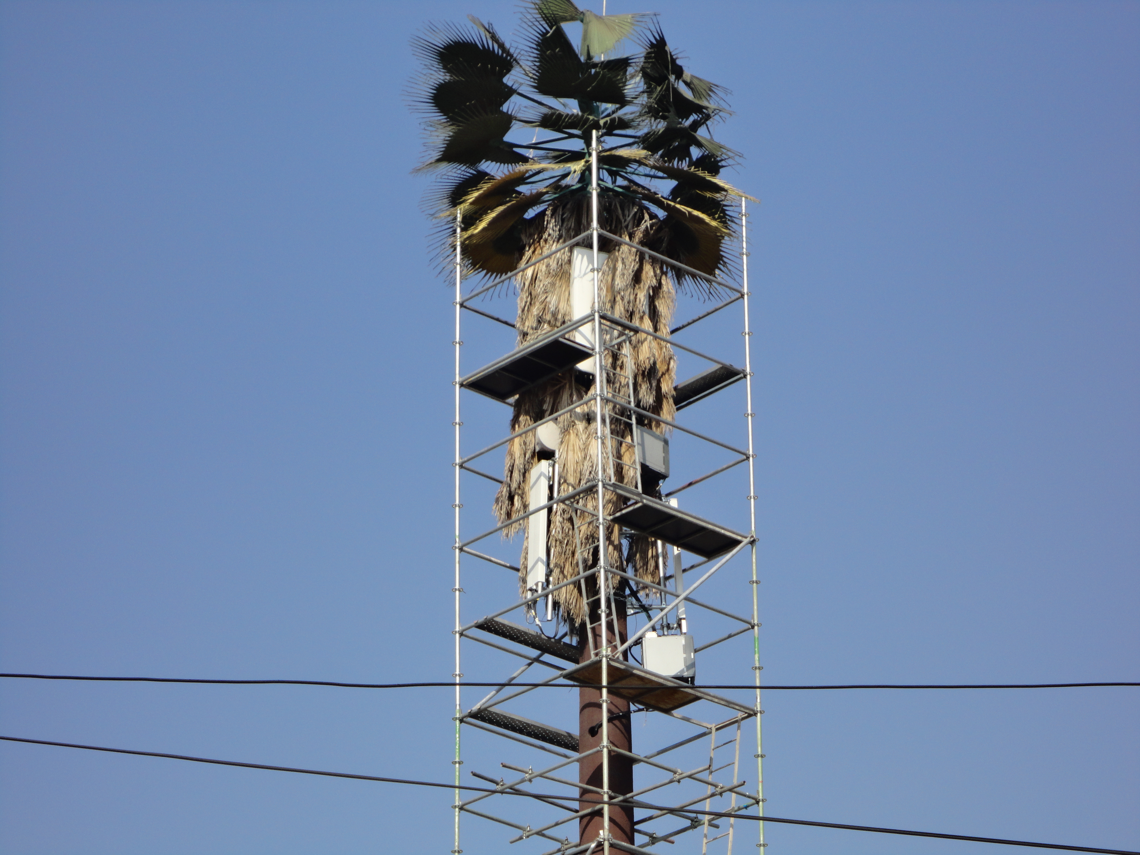 Trabajo en Andamios - Monoposte Palmera