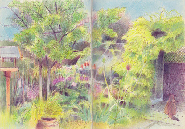 Cosmo pondering the escape route options