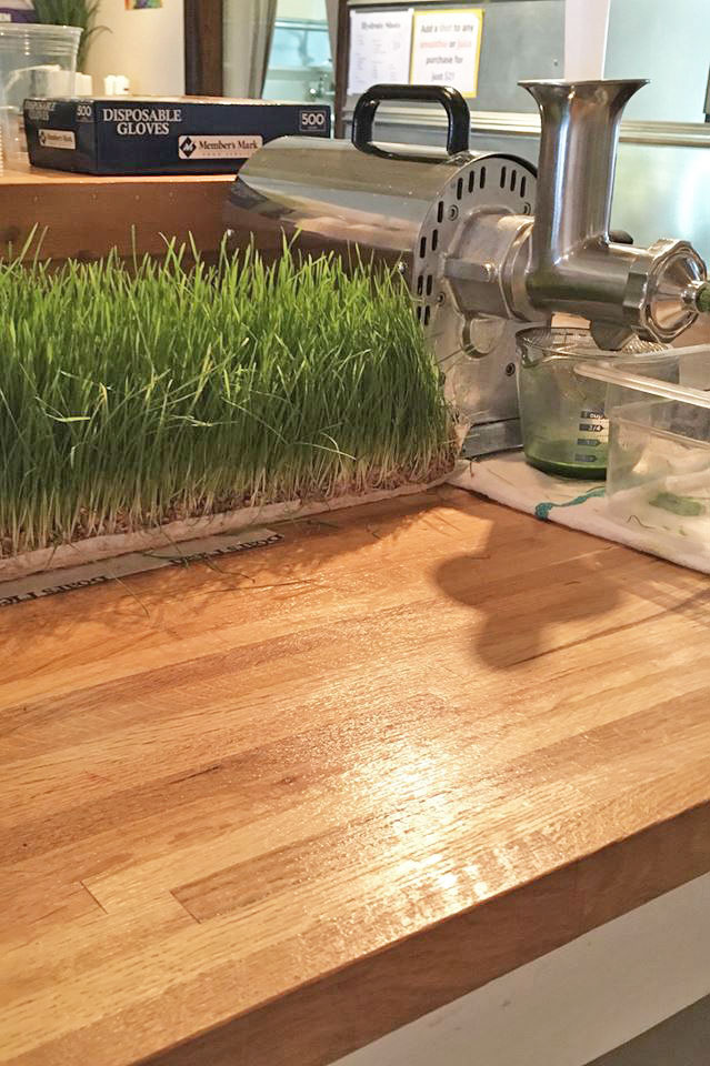 Wheatgrass