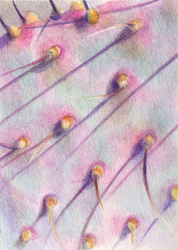 Grey green and pink in Yuma (7"x5")