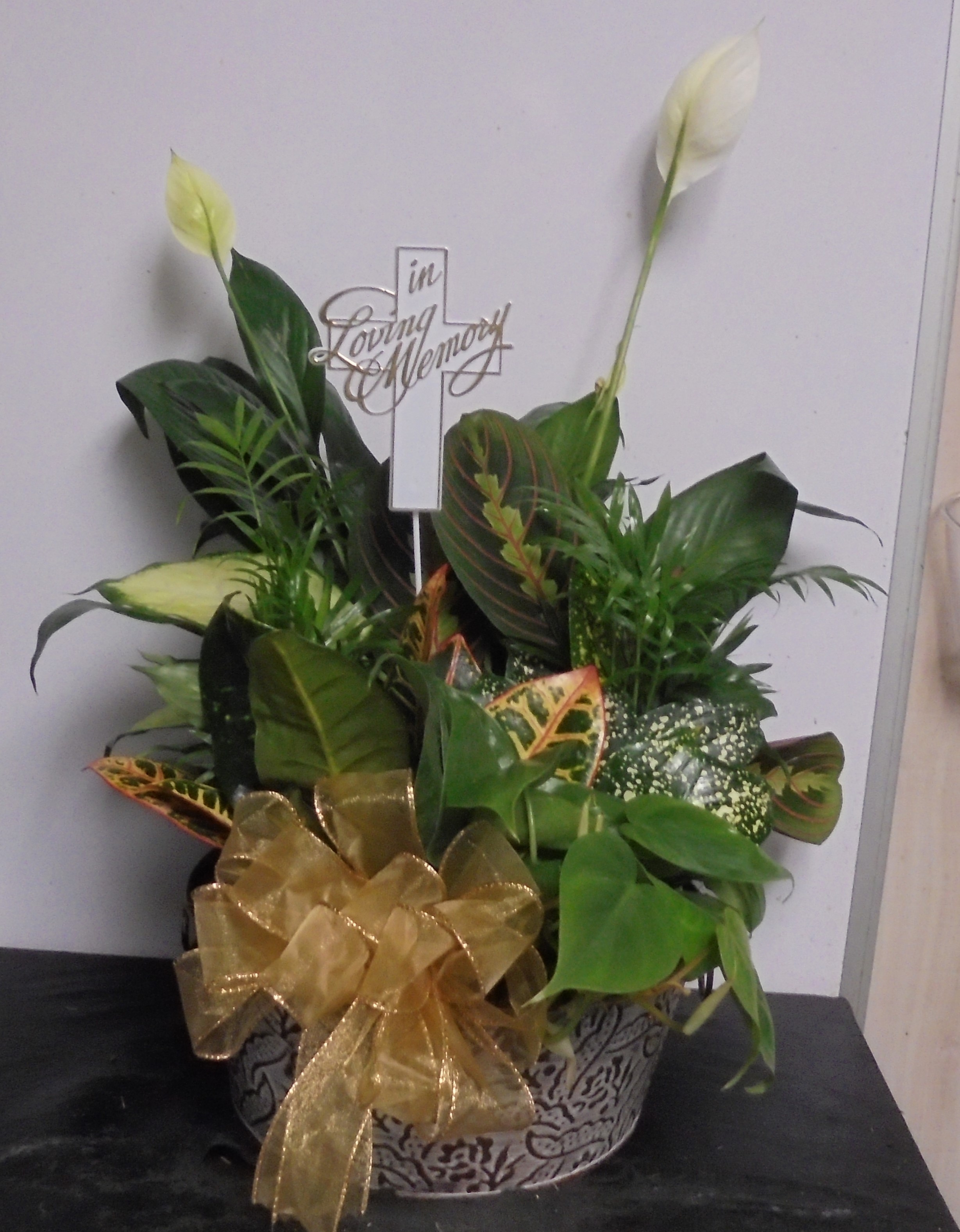 (8) Dish-Garden Plant (Metal)
$65.00