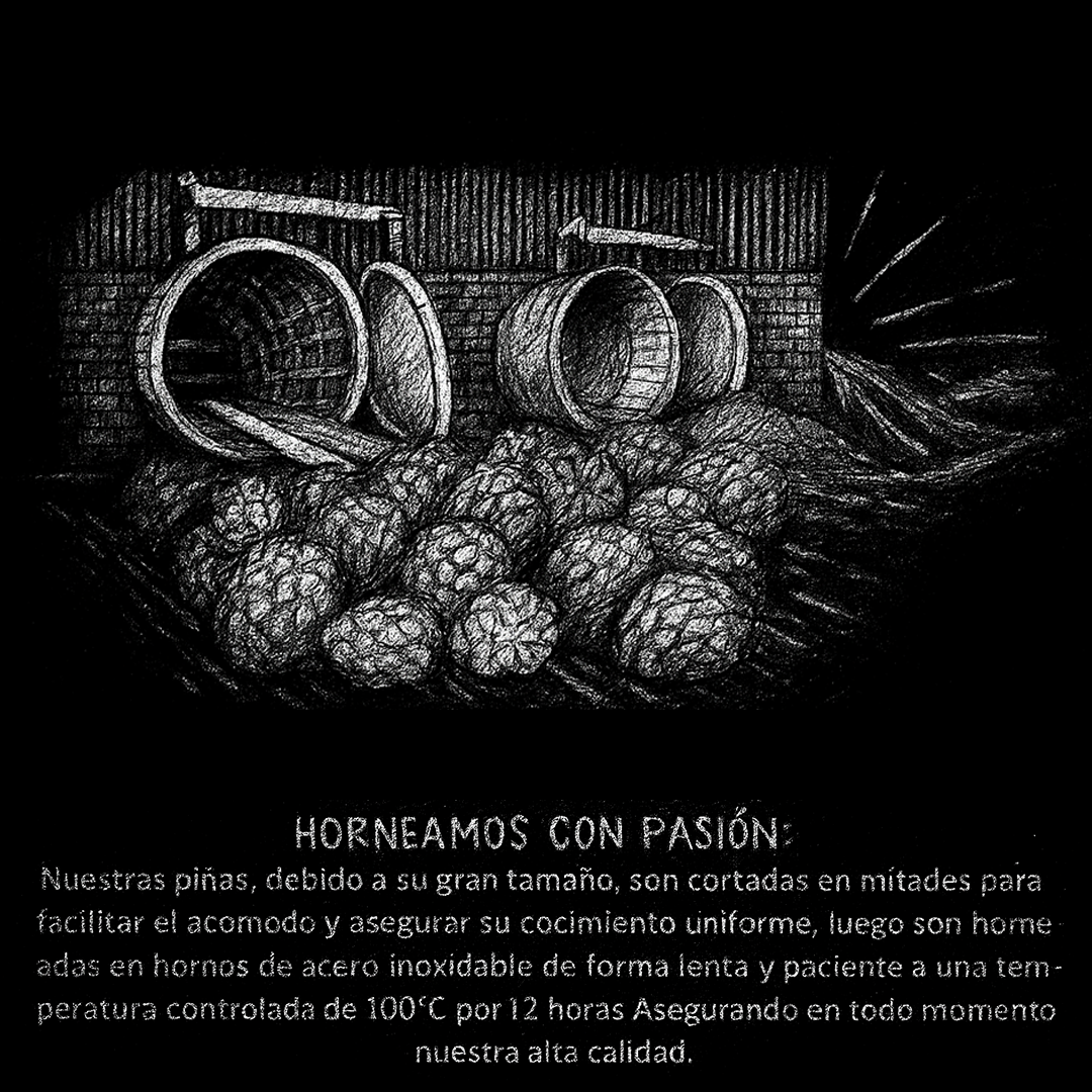 https://0201.nccdn.net/1_2/000/000/0f7/fb2/2-cocion-hacienda_capellania.png
