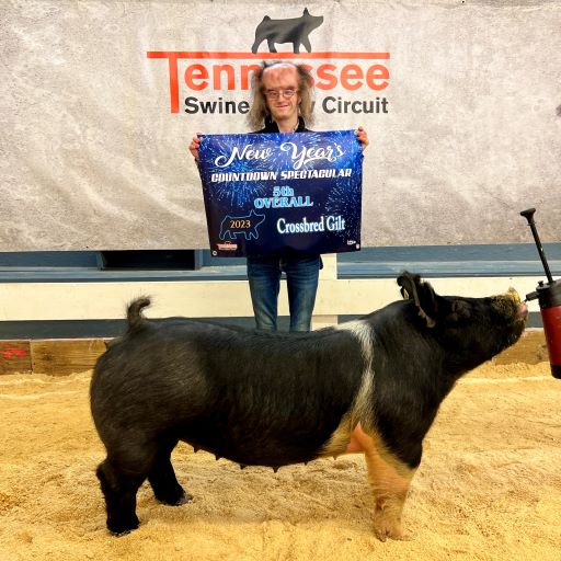 Alivia Haylett
2022 New Year's Countdown Spectacular
5th Overall Crossbred Gilt
2022 Williamson County Swine Show
Grand Champion Breeding Gilt
