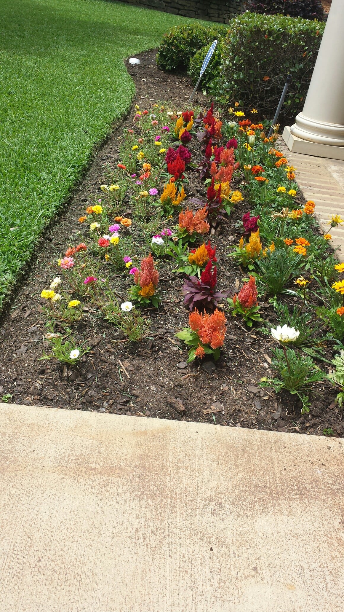 Flower Planting Output