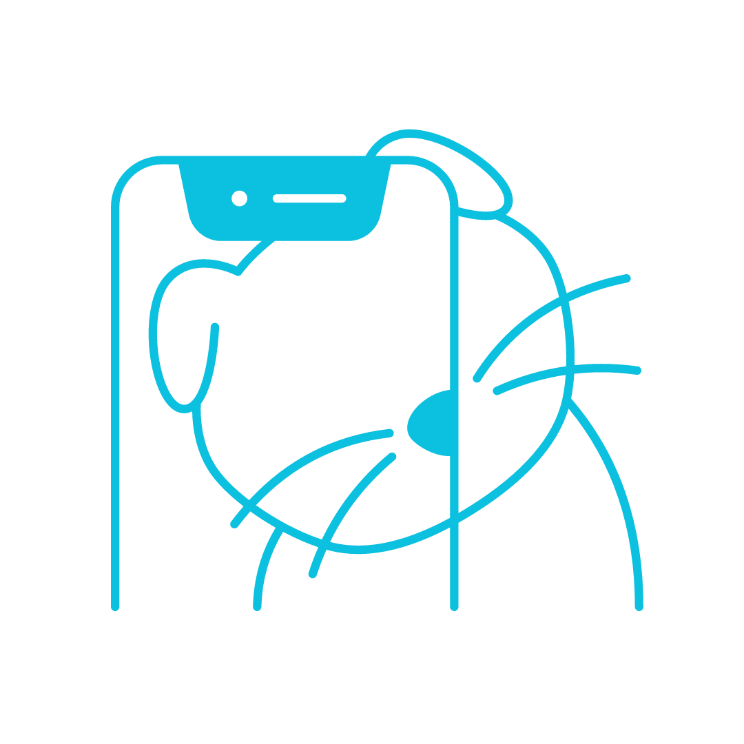 Ícono del enlace