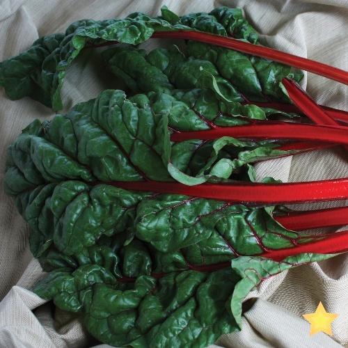 Rhubarb Rhubarb