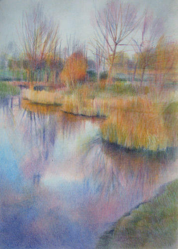 #2 28th December 2008 - Lily Pad Pond