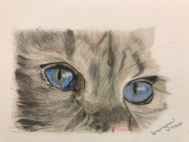 Cat Eye Study I