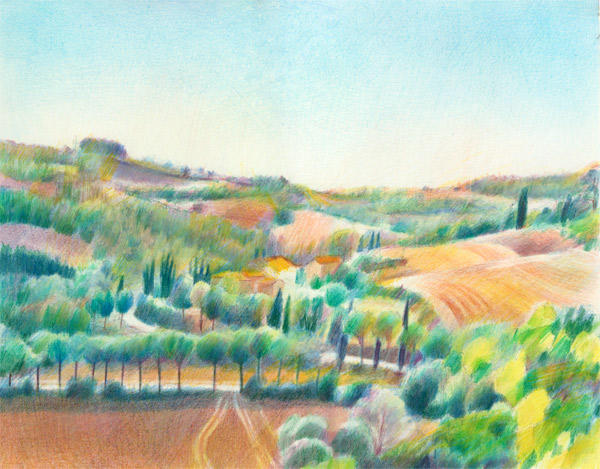The Umbrian Umbrella Pines (Coloured Pencil 27 x 35 cm) Private Collection
