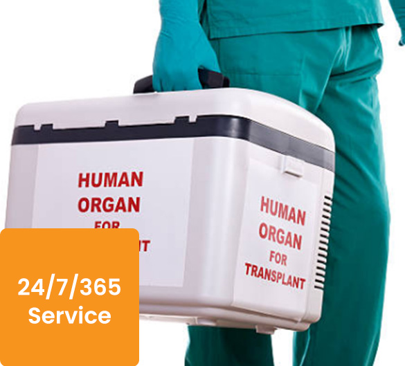 Human Organ for Transplant Refrigerator Box