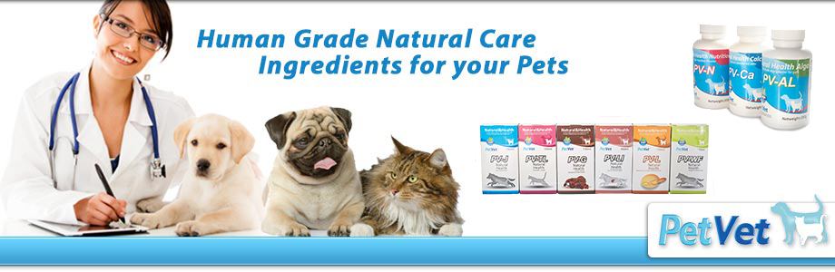 Pv pet deals clinic