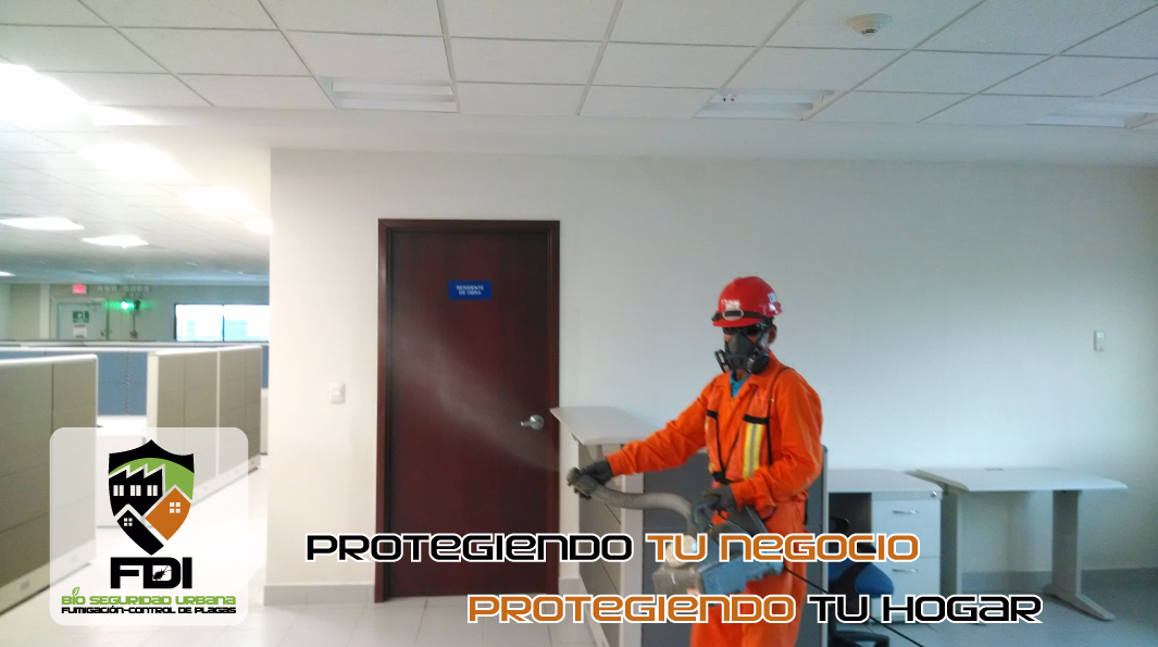 Coloque el título aquí