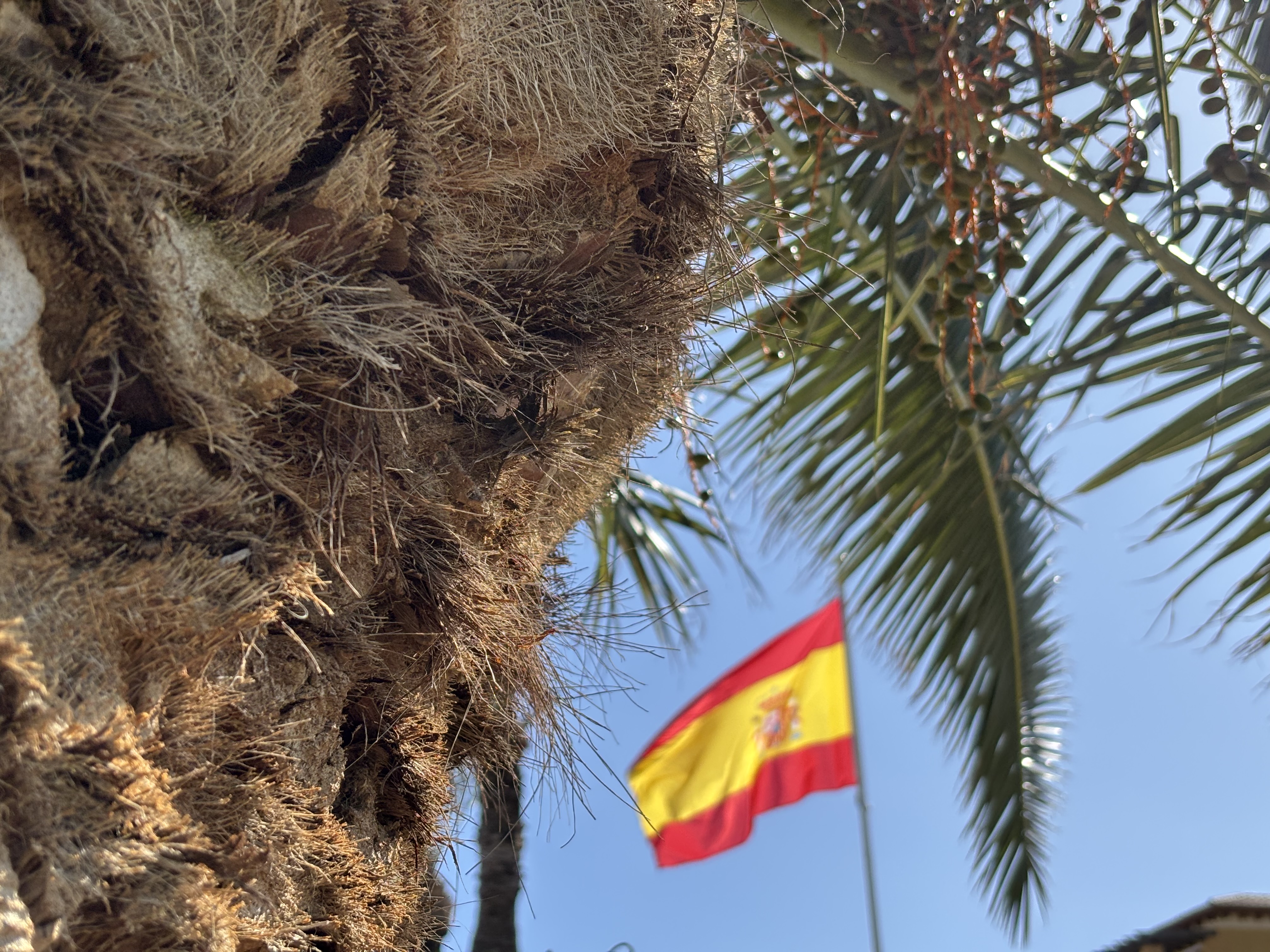 (##AI##(Background.image2.alt)##AI##)