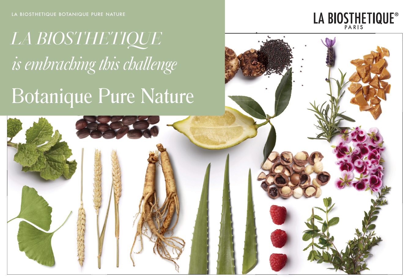 Botanique Pure Nature Hair Care Products Sample