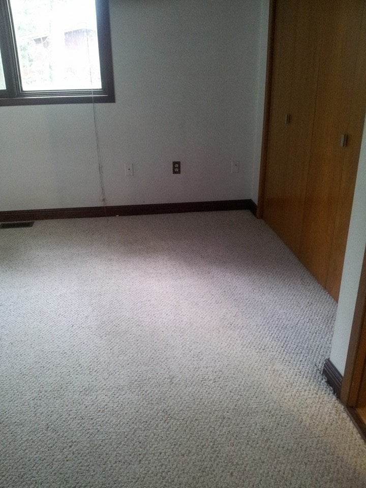 Carpet (After) 2