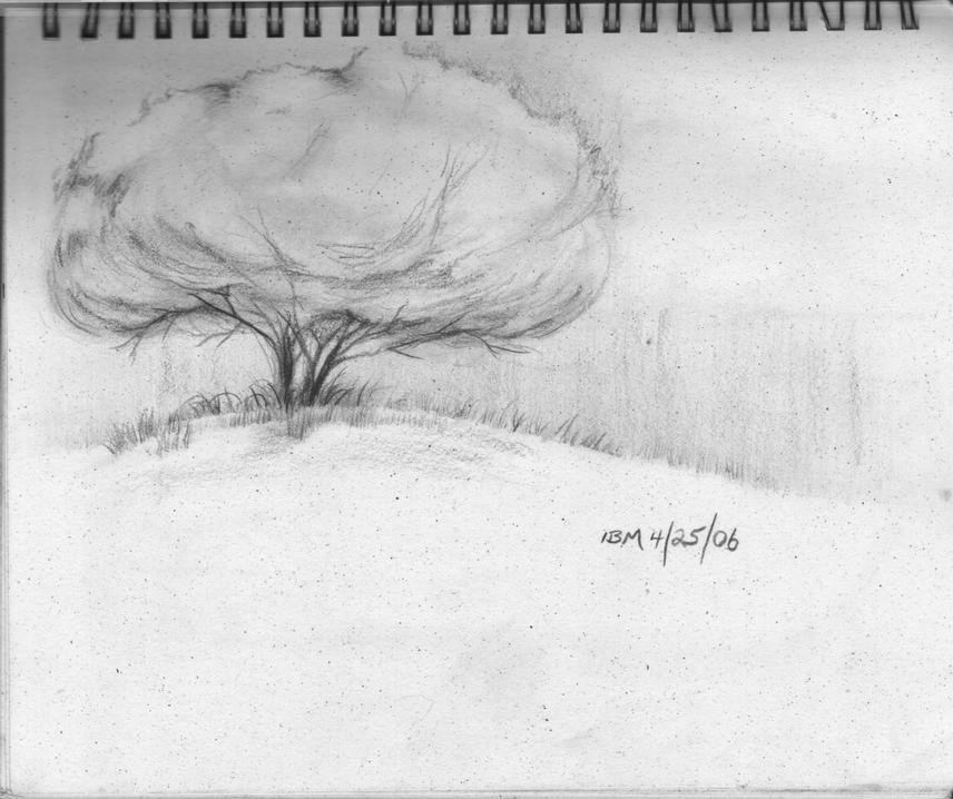 tree-4-25-06