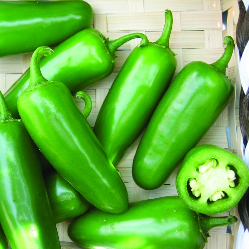 Pepper Tacana Pepper Tacana