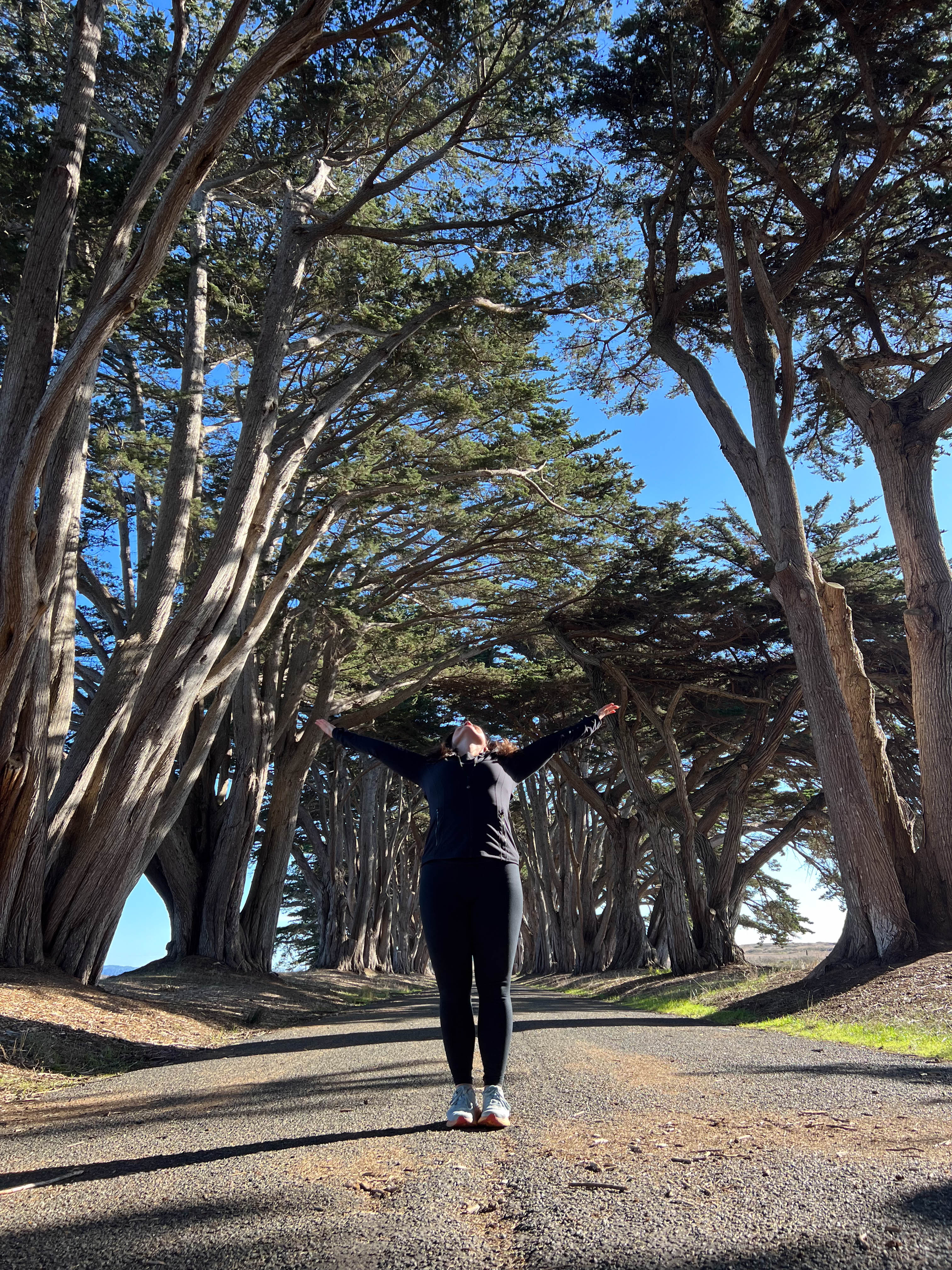 https://0201.nccdn.net/1_2/000/000/0fb/dab/san-fran-order-2-96.jpg