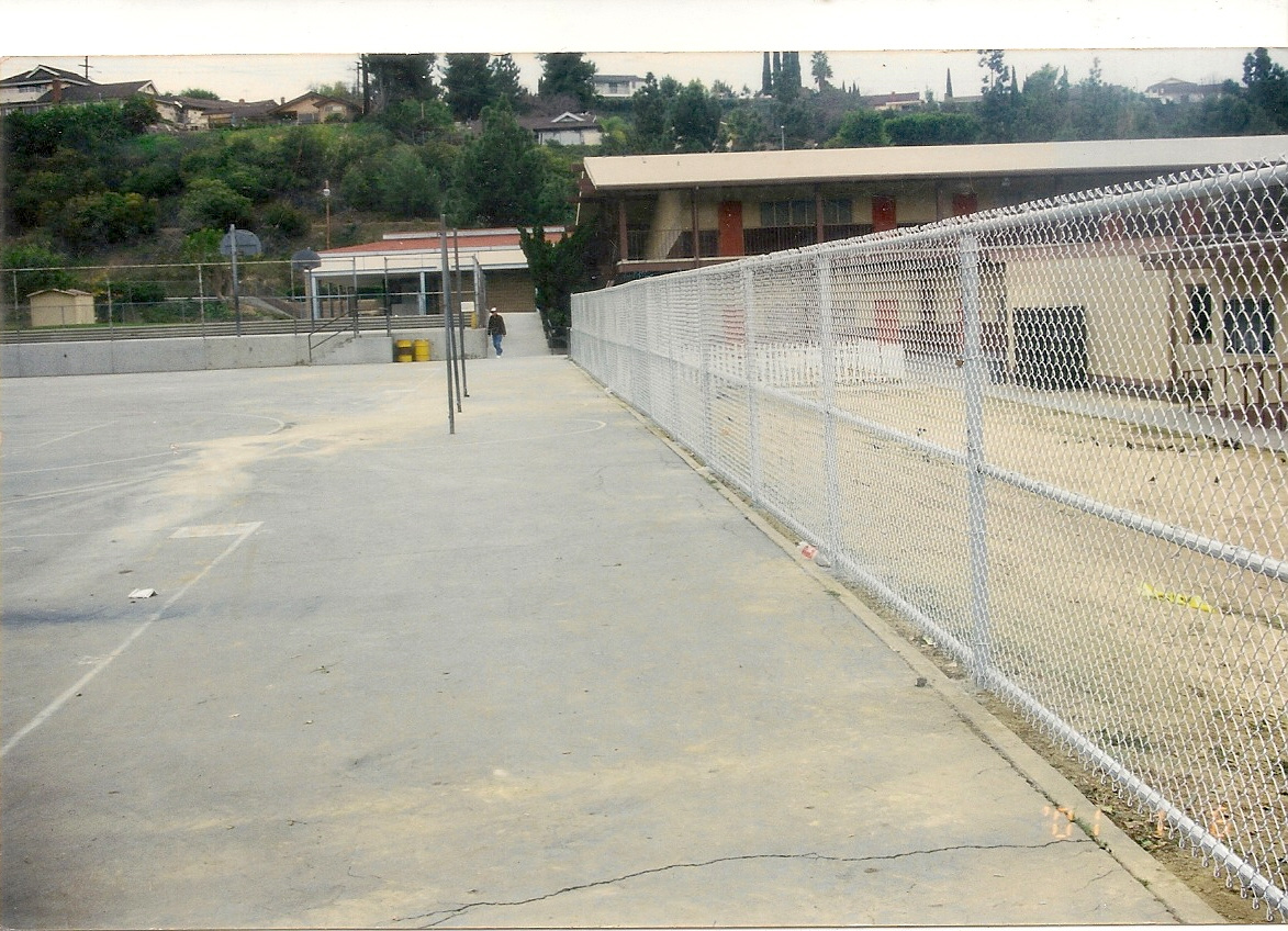 Chain-Link Fence 1