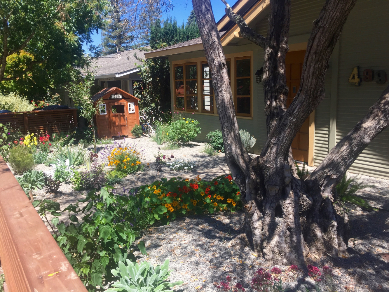 AFTER - cottage garden style
