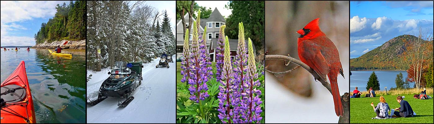 Seasonal scenes of Maine
