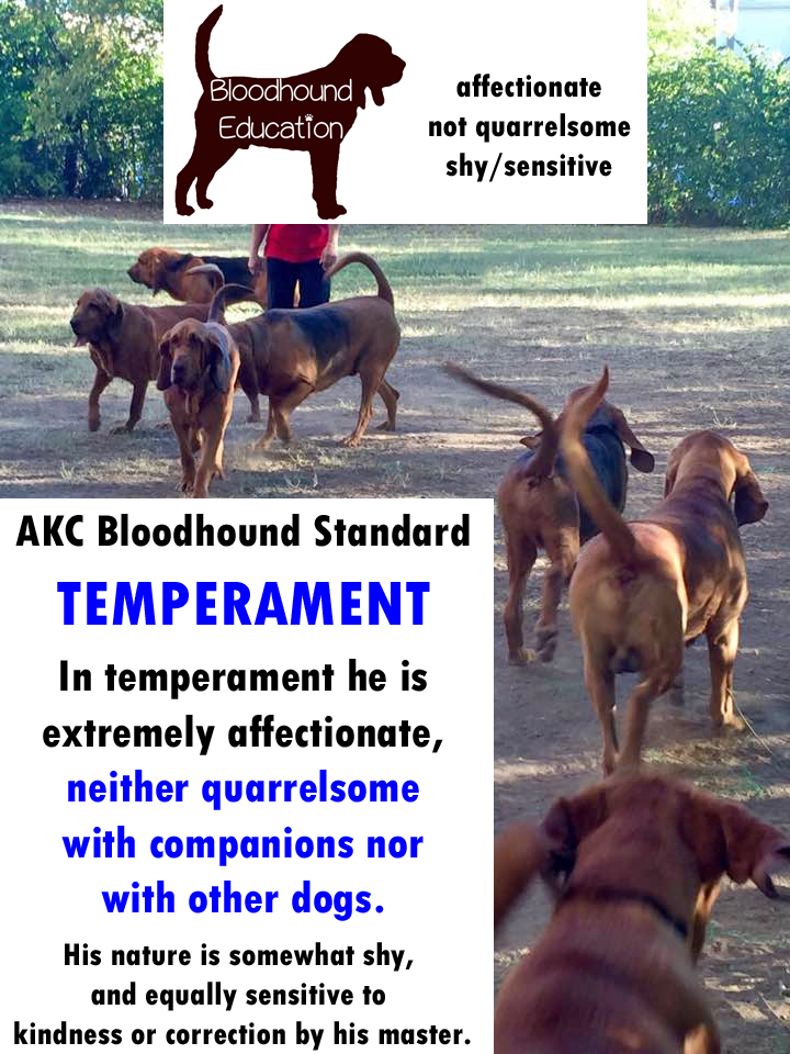 https://0201.nccdn.net/1_2/000/000/0fc/c94/4b-std---temperament---not-quarrelsome.jpg
