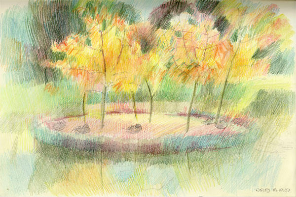 The Little Trees on the Lake, RHS Wisley (coloured pencils)