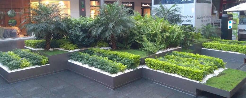 Casa blanca de dos pisos con jardín tropical y palmeras al frente.