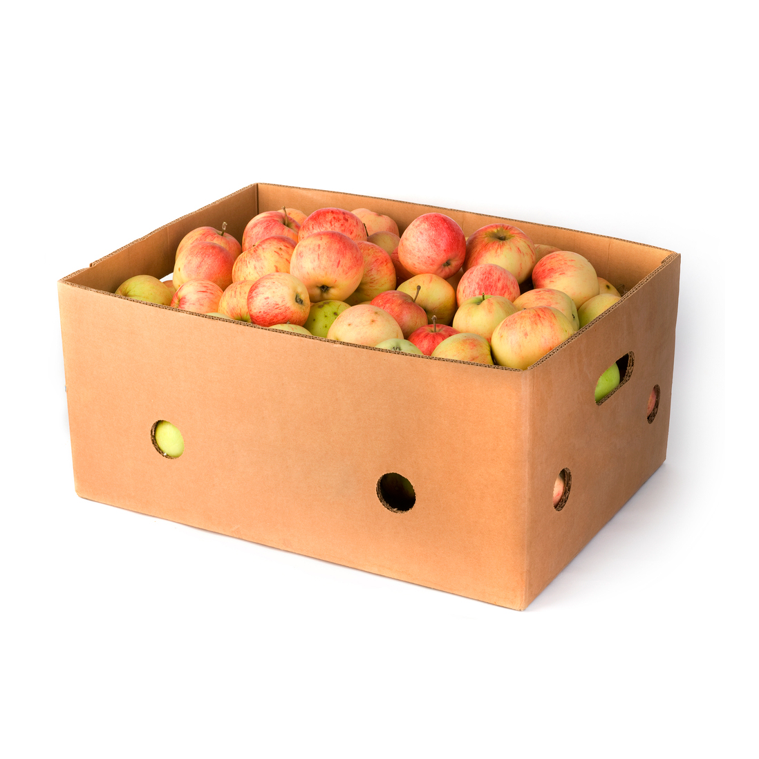 https://0201.nccdn.net/1_2/000/000/0fd/468/fruit-box-with-breathing-hole1098.jpg