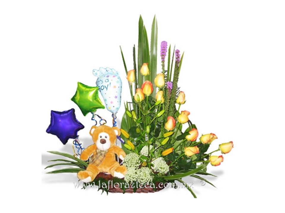 LFA-605
Precio $1,160