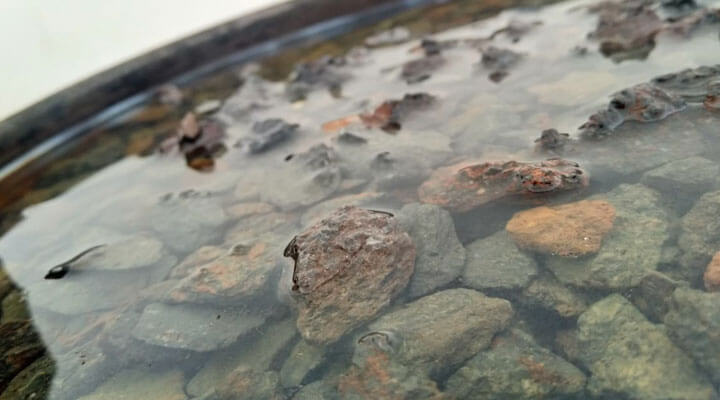 EN GM PAVIMENTOS CUIDAMOS LA CALIDAD DE CADA UNO DE NUESTROS AGREGADOS 