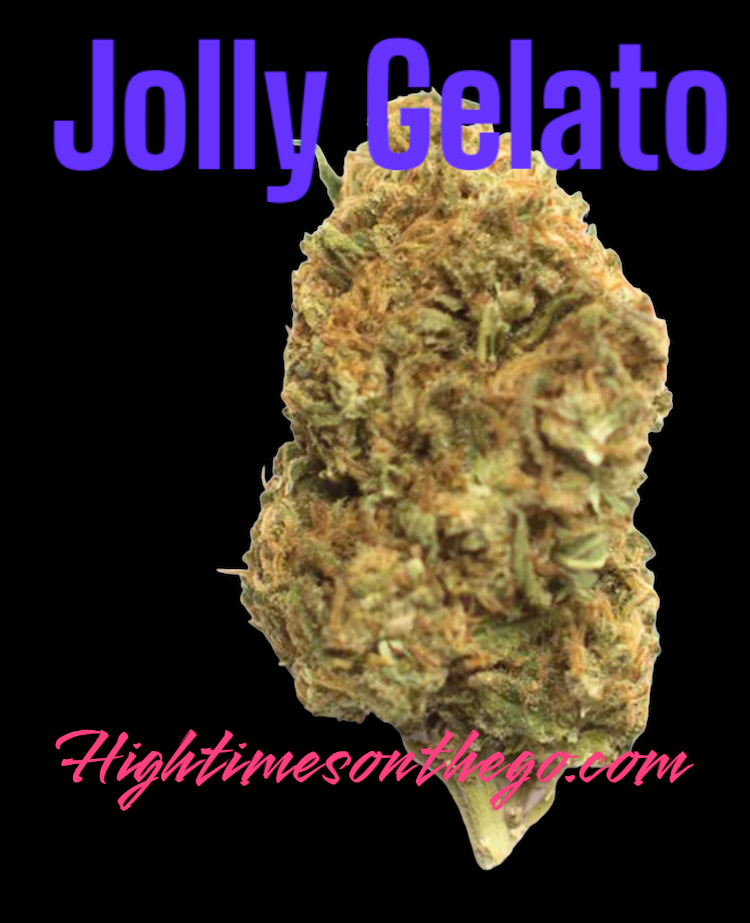 https://0201.nccdn.net/1_2/000/000/0fd/5d6/jolly_gelato_category_hybrid-price_plz-call-for-prices_.jpg