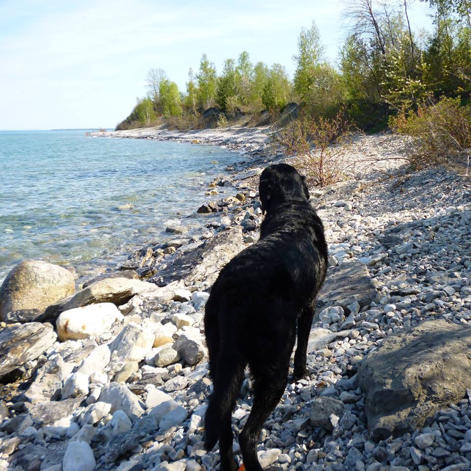 https://0201.nccdn.net/1_2/000/000/0fd/81a/leila-beach.jpg