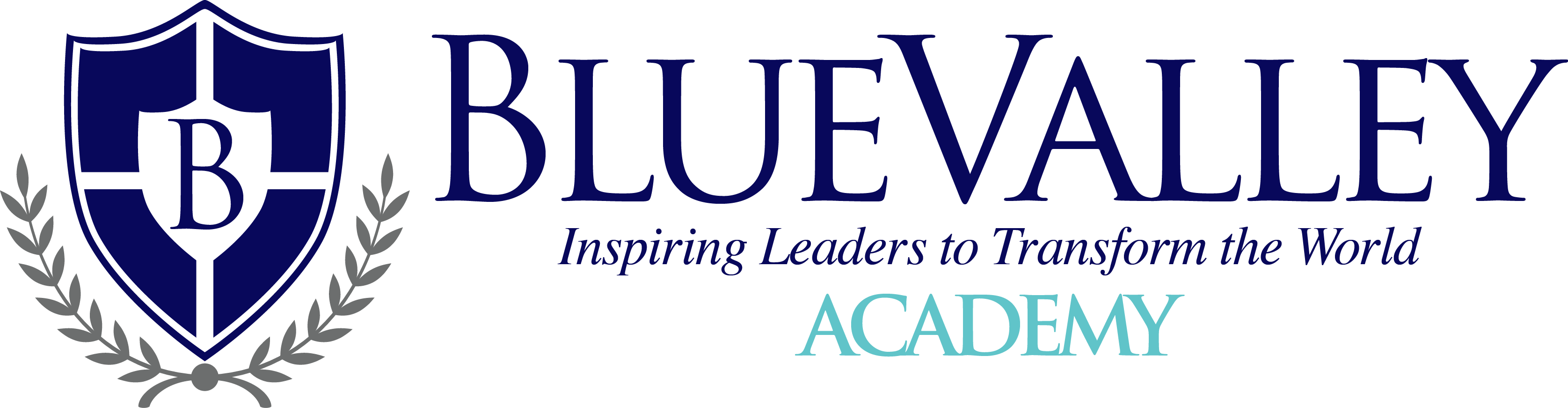 BLUE VALLEY ACADEMY 