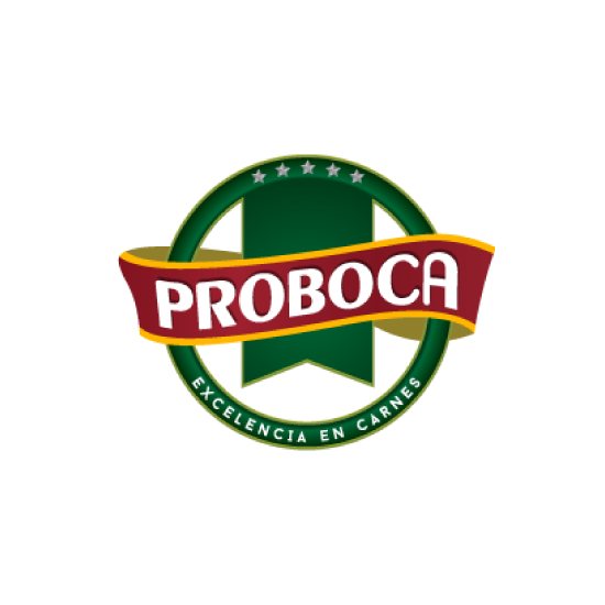 https://0201.nccdn.net/1_2/000/000/0fe/0fc/logo-proboca.png