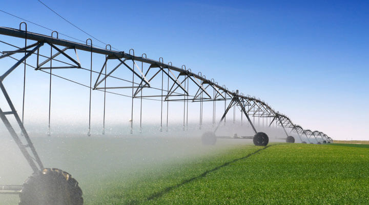 AIISA Monterrey - RIEGO
