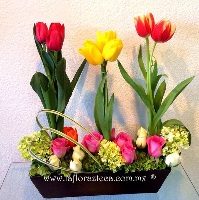 LFA-OT019
Precio $1,180