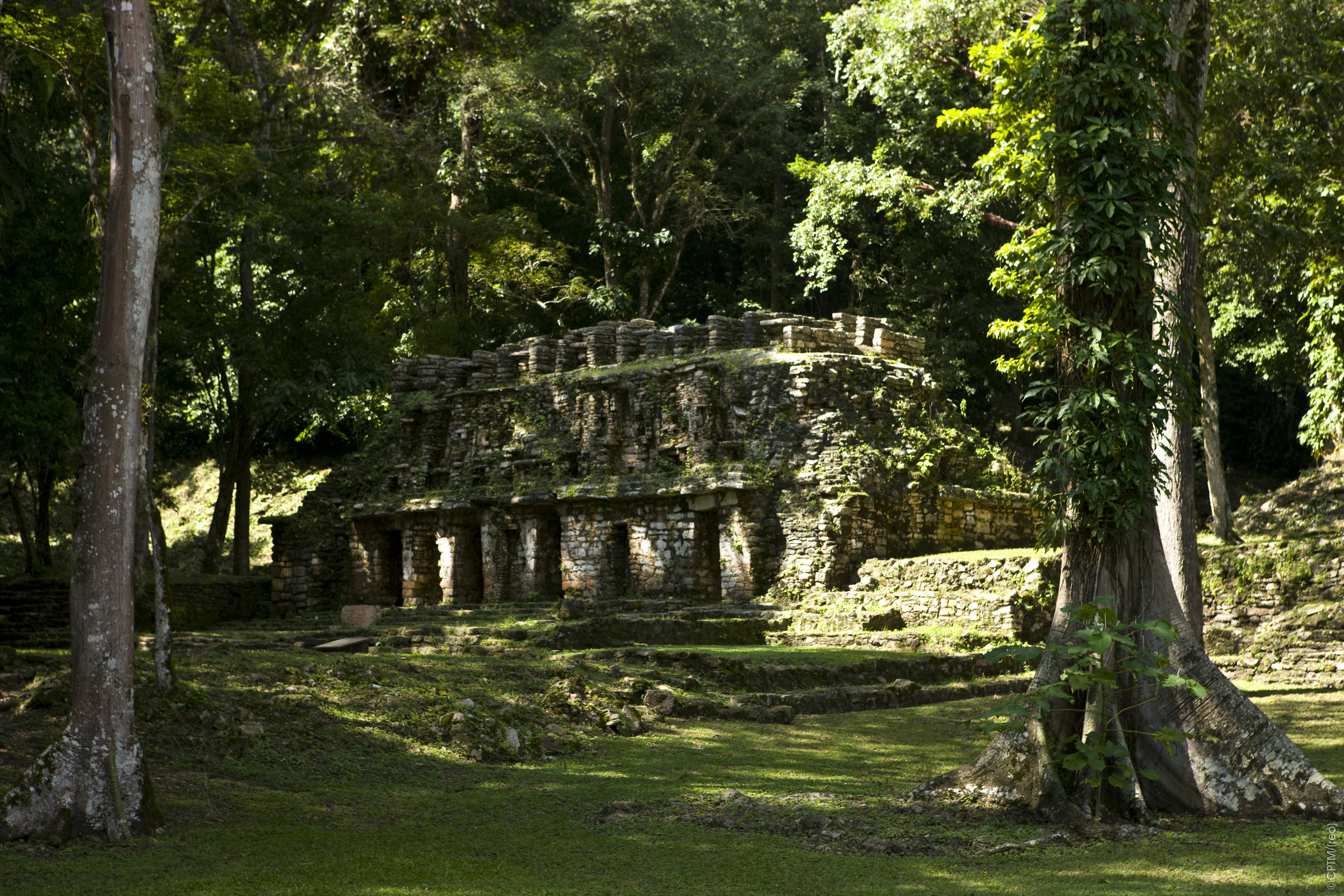 https://0201.nccdn.net/1_2/000/000/0fe/632/ocosingo_yaxchilan_46.jpg