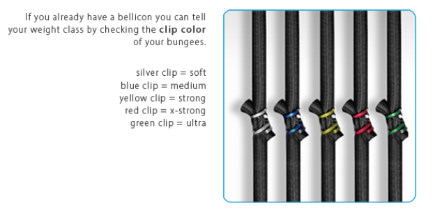 Bellicon 2024 bungee cords