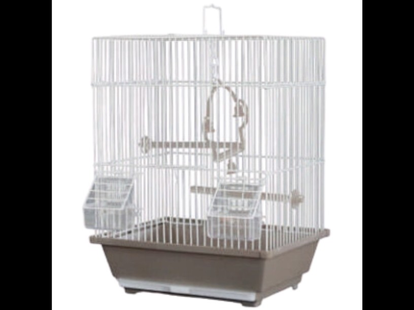 SP-2807 JAULA AVY BOX 
MONTE VERDE by SUNNY 
34X23X53cm