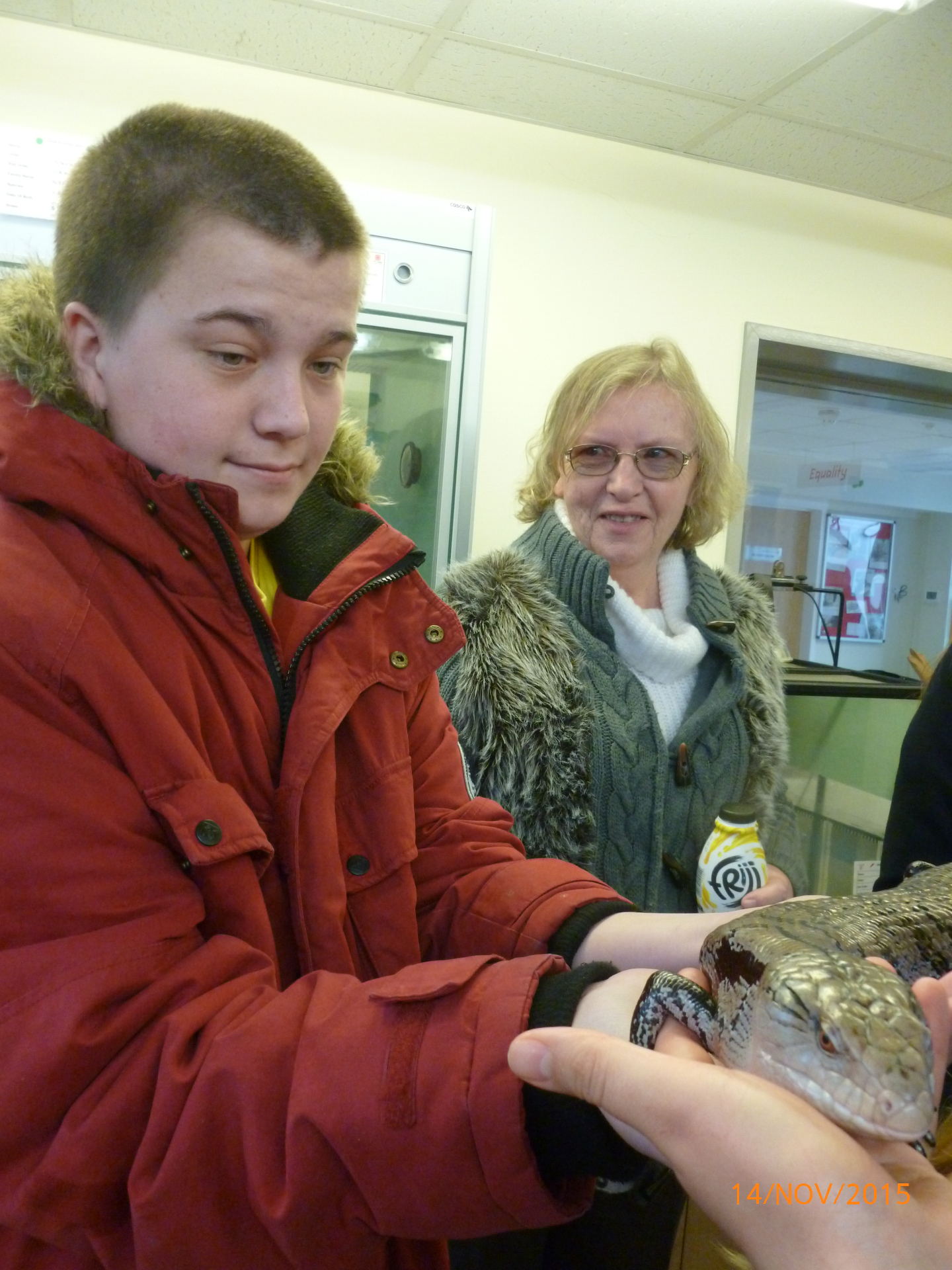 Holding a Blue-Tongue Skink
Animal Experience - College of West Anglia