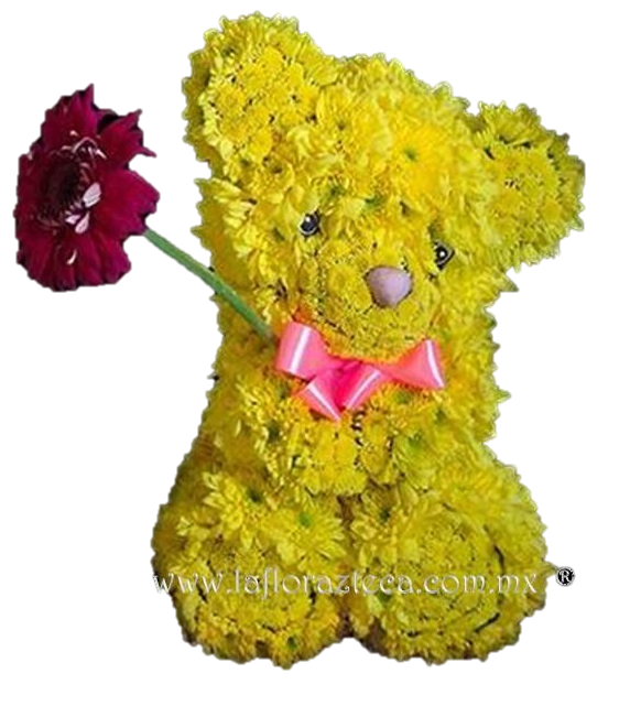 LFA-FF009
Precio $980