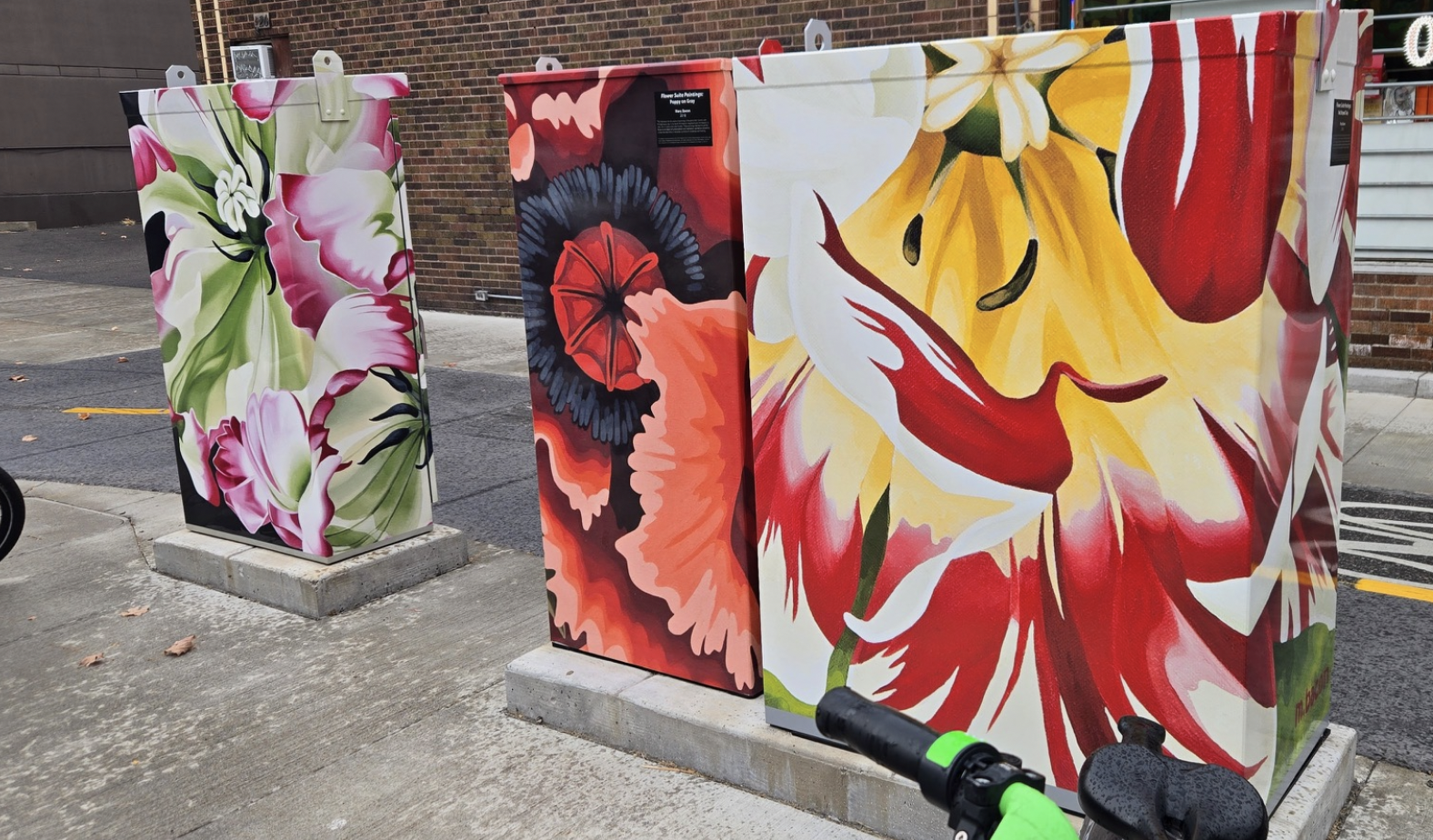 Electrical Box Murals