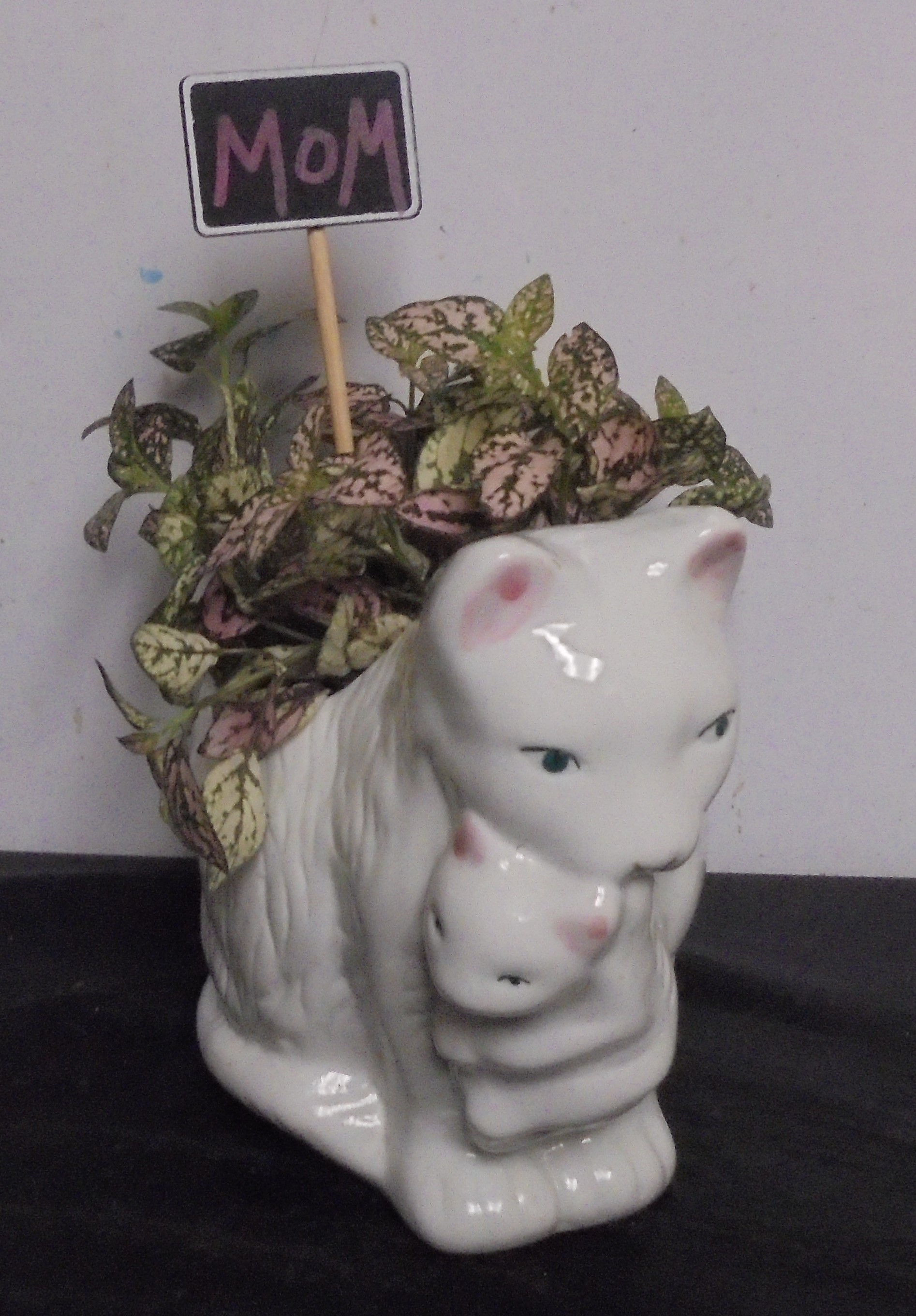 (19)  "Cat Planter" With
Pink Splash Plant
$35.00