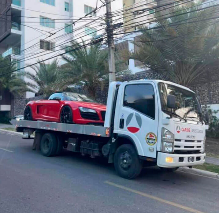 Grupo Flores SRL - GRUAS DE PLATAFORMA