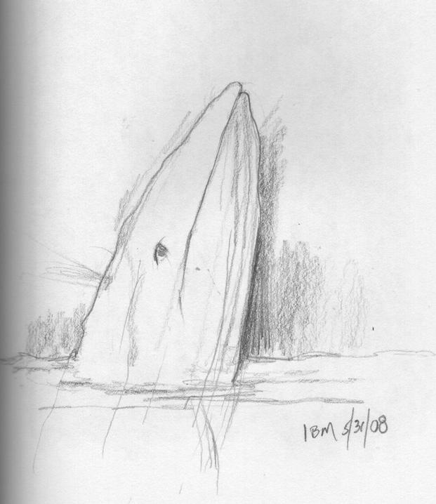 ©Whale ibm 5-31-08
